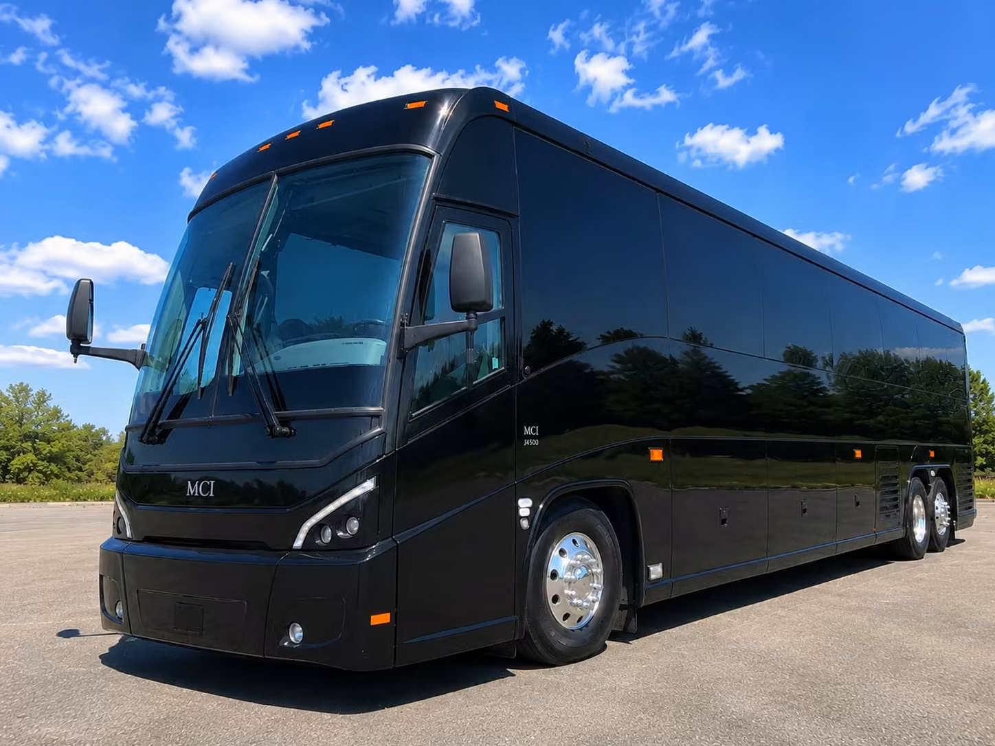 bachelorette party birthday bus rentals in st pete