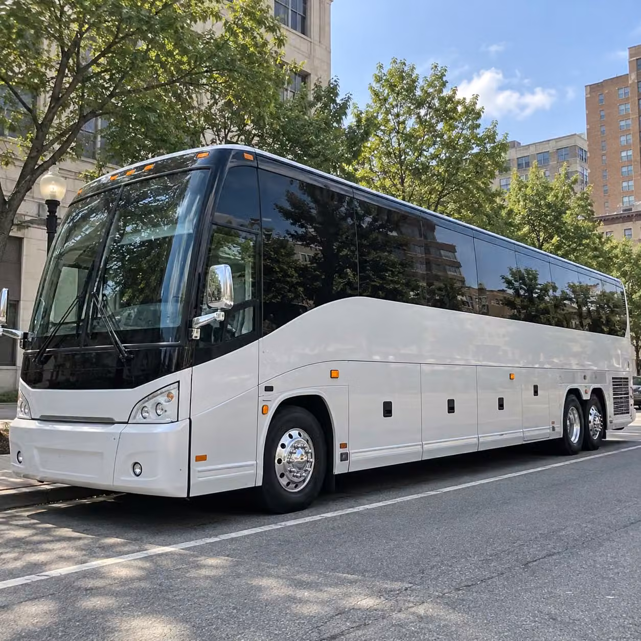 charter bus rentals for large st petersburg prom groups