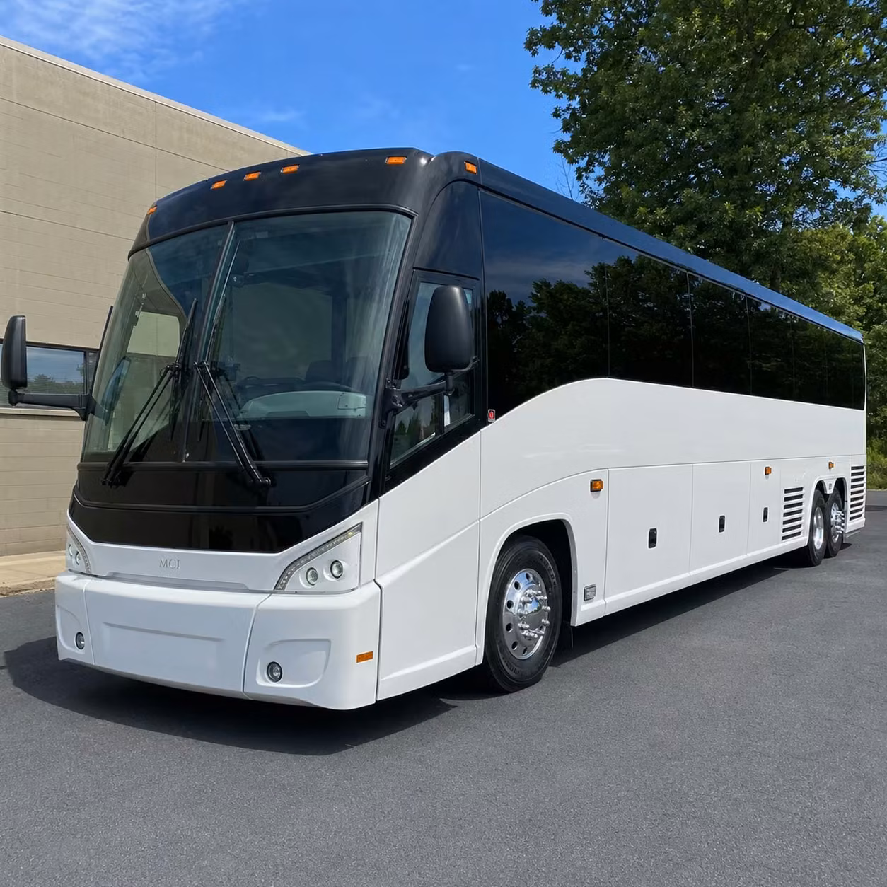 make your st petersburg long distance trip stress free with the right bus